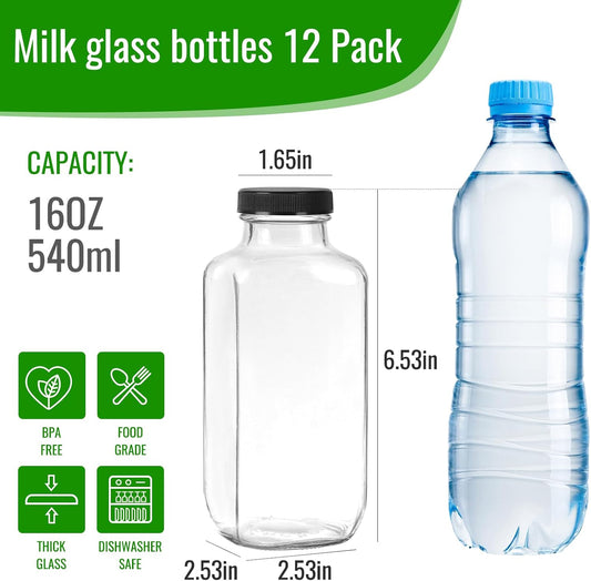 BIGIVACA 16 oz Glass Juice Bottles with Lids,12 PACK Bottles for Juicing,Square Drinking Jars Glass for Coffee,Cola,Milk,Tea in Travel,Work,School
