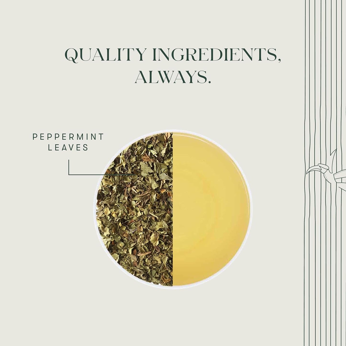 Luxmi Estates Purely Peppermint 25gm Tin | USDA Certified Organic Herbal Tea | Mint Tea Best for Night Time