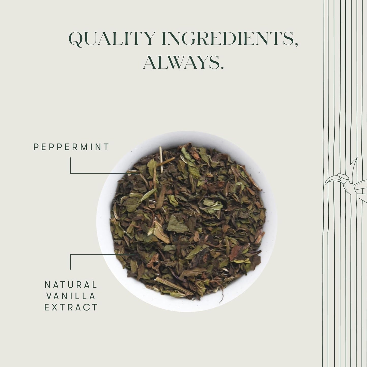 Luxmi Estates - Organic Peppermint Tea with Natural Vanilla Extract - Loose Leaf - 25g (12 Cups) Tea Bags, Limited Fall Tea With the Natural Sweetness of Vanilla, Perppermint Aids Digestion