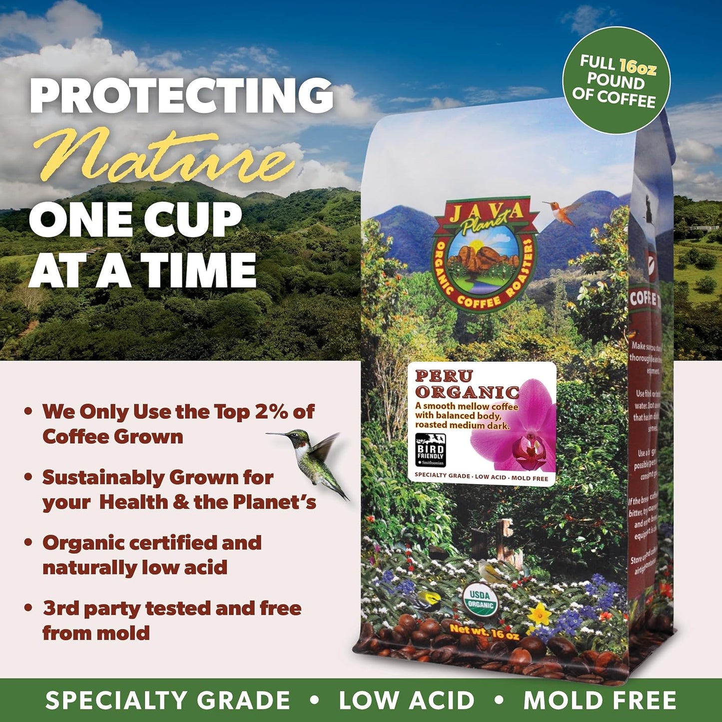 Low Acid Organic Coffee – Whole Bean, Mold-Free & Stomach Friendly by Java Planet, Peruvian Single Origin Coffee, Medium Dark Roast, Smooth Full Flavored, 5LB Bag