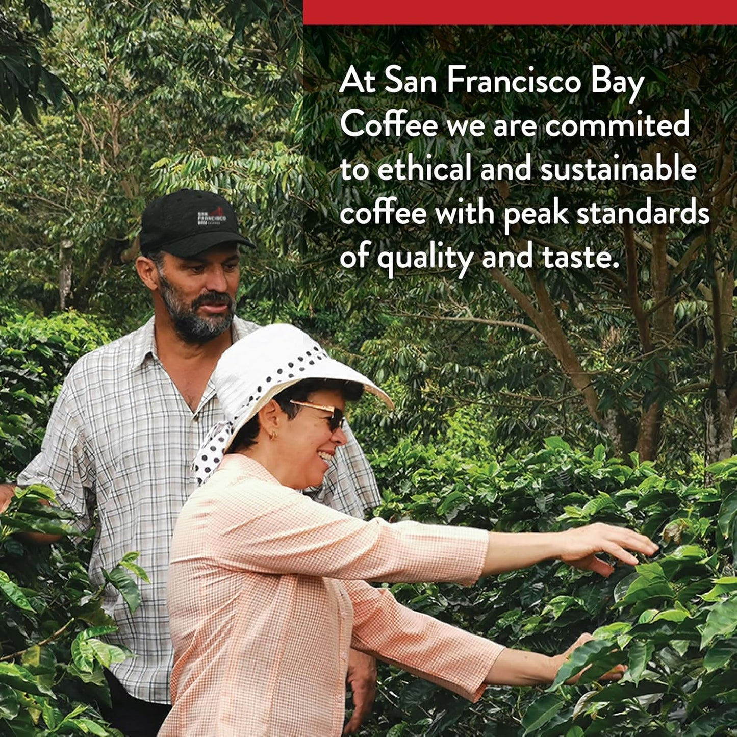 San Francisco Bay Compostable Coffee Pods - Donut Shop (36 Ct) K Cup Compatible including Keurig 2.0, Light Roast