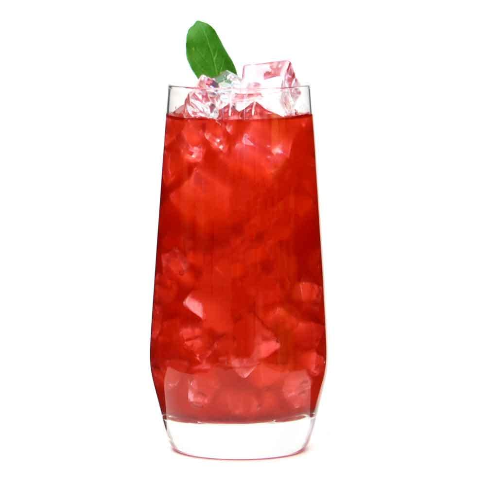 Pomegranate Hibiscus Honey Lemon Refresher 12oz Natural Powder Drink Mix