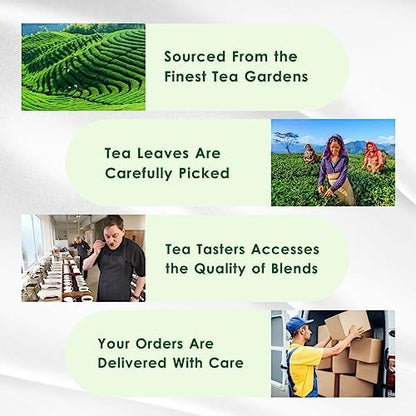 Tealeaf & Co. Lemon Ginger Green Tea with Ginger, Lemon Flavor, Orange Peel, Mint & Black Pepper - Organic Green Tea Bags with Fresh Herbs and Spices - Vegan - 100 Teabags (7.055oz/200gm)