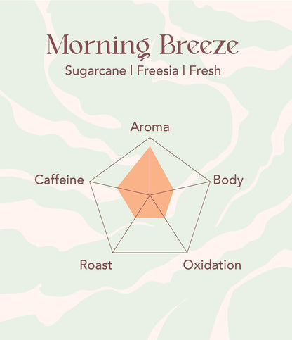 OOTINE | Morning Breeze Taiwan Oolong Tea (12 Sachets) | Lightly Oxidized for a Fresh, Green-Tea-Like Taste | Sugarcane & Freesia Notes | Hand-Picked Whole Leaves, Plastic-Free Sachets | Supports Gut Health & Multiple Infusions, Travel-Ready