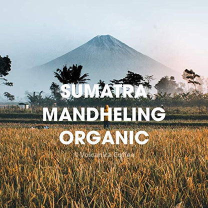 Sumatra Mandheling Coffee Beans, USDA Organic, Medium Roast, Ground, Fresh Roasted, 5 lbs