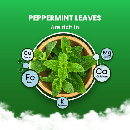 BLUE TEA - Peppermint Tea - 10 Count - Plant Based Tea Bag | SUPPORTS DIGESTION | Antioxidant Rich | Fresh & Cool Minty Flavour | Caffeine Free - Herbal Tea - Non-Bitter - Leaf Based | Ziplock Pack