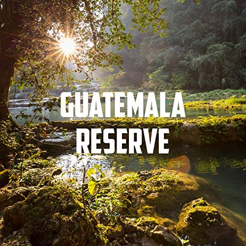 VOLCANICA COFFEE COMPANY Guatemala Antigua Coffee, Reserve, Dark Roast, Whole Bean, Fresh Roasted, 16-ounce
