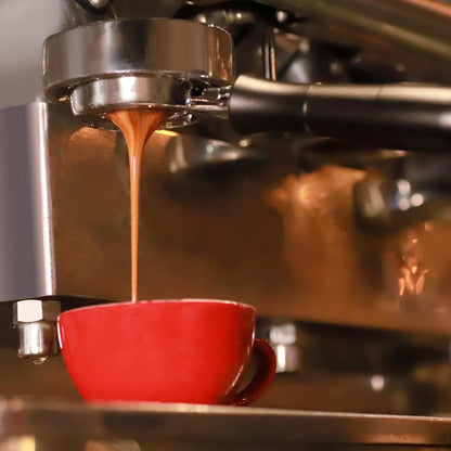 MEION 58mm Bottomless Portafilter for Gaggia 58mm, Gaggia Carezza, Gaggia Cubika Plus, Gran Gaggia Deluxe, Espresso Portafilter with Stainless Steel 18g Filter Basket and Puck Screen