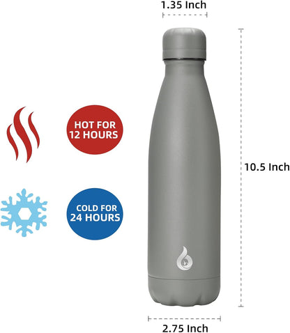 BJPKPK Insulated Water Bottle 17oz Stainless Steel Water Bottles,Gray