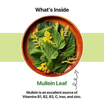 BLUE TEA - Mullein Tea - 30 Count - Pyramid Plant Based Tea Bag | LUNGS DETOX - FOR RESPIRATORY SUPPORT | Herbal Tea - Caffeine Free - Leaf Based - Non-Bitter - Vegan | Ziplock Pack