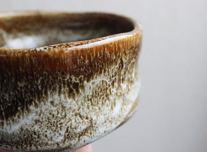 Japanese Traditional Handcrafted Matcha Chawan Tea Bowl Cup Ceremony Tableware Pottery (Ame Yuu)