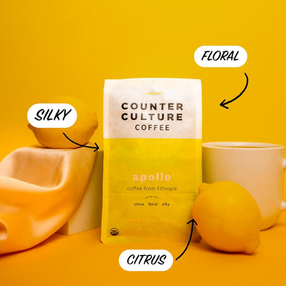 Counter Culture Coffee - Fresh Roasted Certified Organic Whole Bean Coffee (Kosher) (Apollo Double Pack)