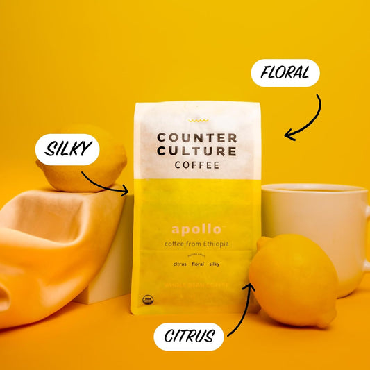 Counter Culture Coffee - Fresh Roasted Certified Organic Whole Bean Coffee (Kosher) (Apollo)