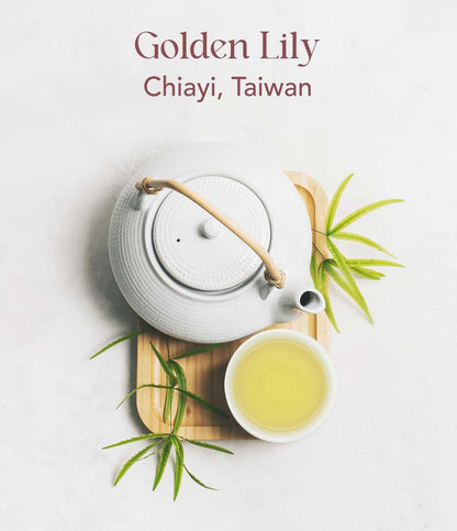 OOTINE, Golden Lily Taiwan Oolong Tea (12 Pyramid Sachets) | Floral and Milky Notes, Lightly Oxidized for A Taste Closer to Green/White Tea | Hand-Picked Quality Whole Leaves in Plant-Based Sachets | Perfect for After-Meal Digestion | Multiple Infusions