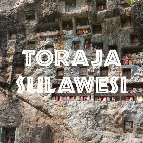 Toraja Sulawesi White Eagle Coffee, Fair Trade, Ground, Fresh Roasted, 16-ounce