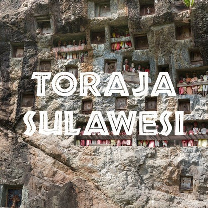Toraja Sulawesi White Eagle Coffee, Fair Trade, Ground, Fresh Roasted, 16-ounce