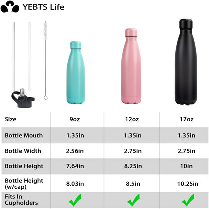 Insulated Water Bottle,17oz Stainless Steel Water Bottles with straw lid, Metal Sports Water Bottles for Boys,Girls, Double Wall Vacuum BPA-Free Flask for School, Sports(SLIVER)