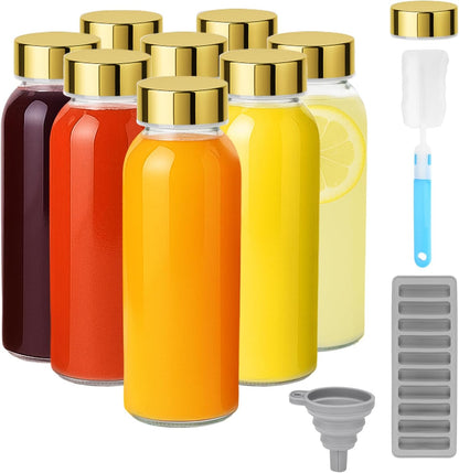 Zukro Glass Water Bottles with Lids 10 oz, Reusable Clear Juice Bottles With Stainless Steel Airtight Cap for Juicing, 100% Leak Proof Juice Drinking Jar for Ginger and Milk, BPA Free