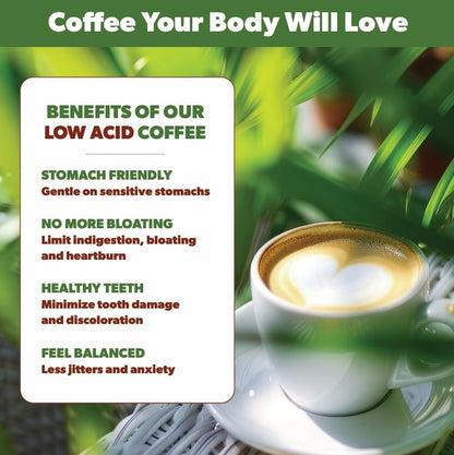 Low Acid Organic Coffee – Whole Bean, Mold-Free & Stomach Friendly by Java Planet, Peruvian Single Origin Coffee, Medium Dark Roast, Smooth Full Flavored, Smithsonian Bird Friendly, 1LB Bag
