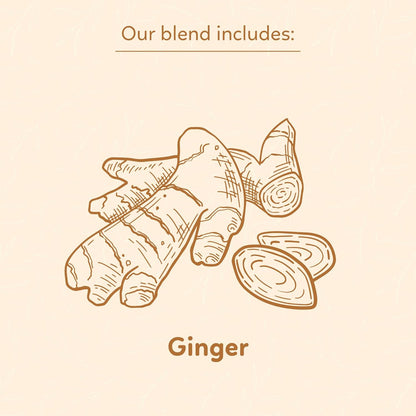 Indochine Blends, Ginger Tea Bags, 50 Teabags, 2g/bag, Individually Wrapped Envelopes, Caffeine-free, No Sugar, Healthy Belly Herbal Tea Supports Digestion & Boosts the Immune System