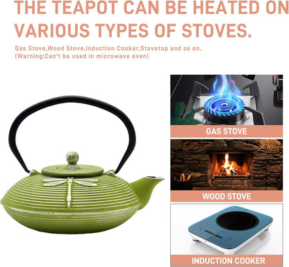 Cast Iron Teapot,SECHUDO Tea Kettle Coated with Enameled Interior for Loose Tea,Cast Iron Teapot with Stainless Steel Infuser for Stovetop Safe (27.1oz Flat Dragonfly Pattern)