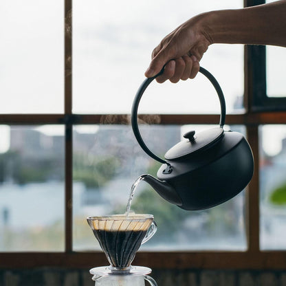 BALMUDA MoonKettle | Electric Kettle with Temp Control (122°F - 212°F) | HOLD & Keep Warm | 900ml (30 fl oz) | Soothing Ambient Light & Sound | Precision Pour Spout | Black