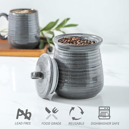 Hasense Food Storage Contaister with Lid, Ceramic Airtight Sugar Canister for Kitchen, Small Coffee Cookie Jar for Grounds Coffee, Beans, Tea, Flour, Cereal, 30 FL OZ(Grey)