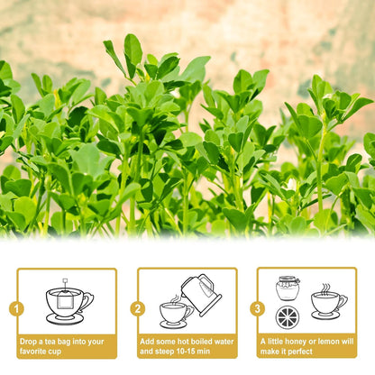 TEARELAE - Fenugreek Tea Bag - 3g x 50 Count - Premium Natural Fenugreek Seed Tea - Non-GMO - Caffeine-free - Support Digestion & Improve Heart Health