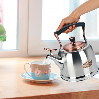 Tea Kettle Stainless Steel Teapot, Stainless Steel Teakettle for Stove Top with Heat Proof Ergonomic Handle 3.0 Quart