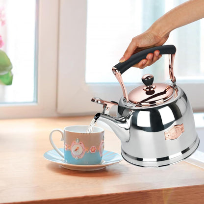 Tea Kettle Stainless Steel Teapot, Stainless Steel Teakettle for Stove Top with Heat Proof Ergonomic Handle 3.0 Quart