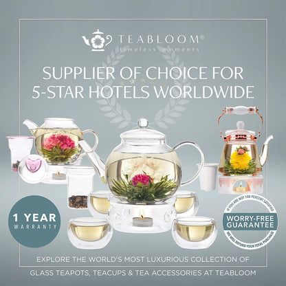 Teabloom Kyoto Teacup and Saucer Set 2-Pack – Standard Teacup Size – 6 OZ/ 180 ML Capacity – Crystal Clear Design –– Premium Borosilicate Glass – Heat Resistant, Microwave Safe