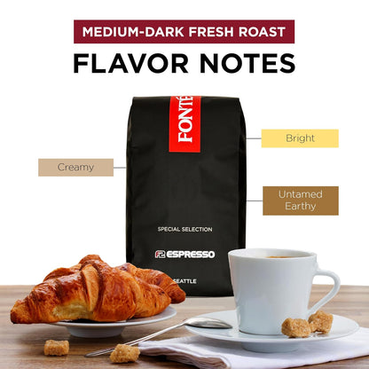 Fonte Coffee Roaster - Whole Bean Coffee - Medium-Dark Fresh Roast - Roasted in Seattle - Single Origin - Sweet, Caramel, Cocoa - 12 oz - F2