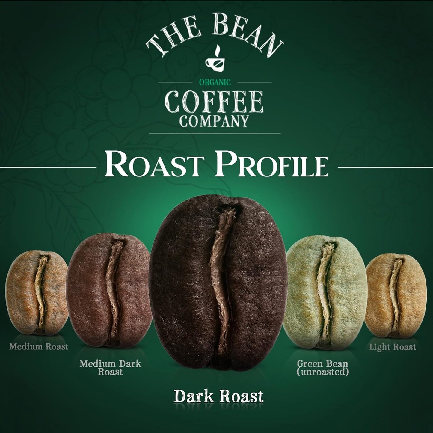 The Bean Organic Coffee Company Suzi's Power Bean, Dark Roast, Whole Bean Coffee, 16-Ounce Bags (Pack of 2)