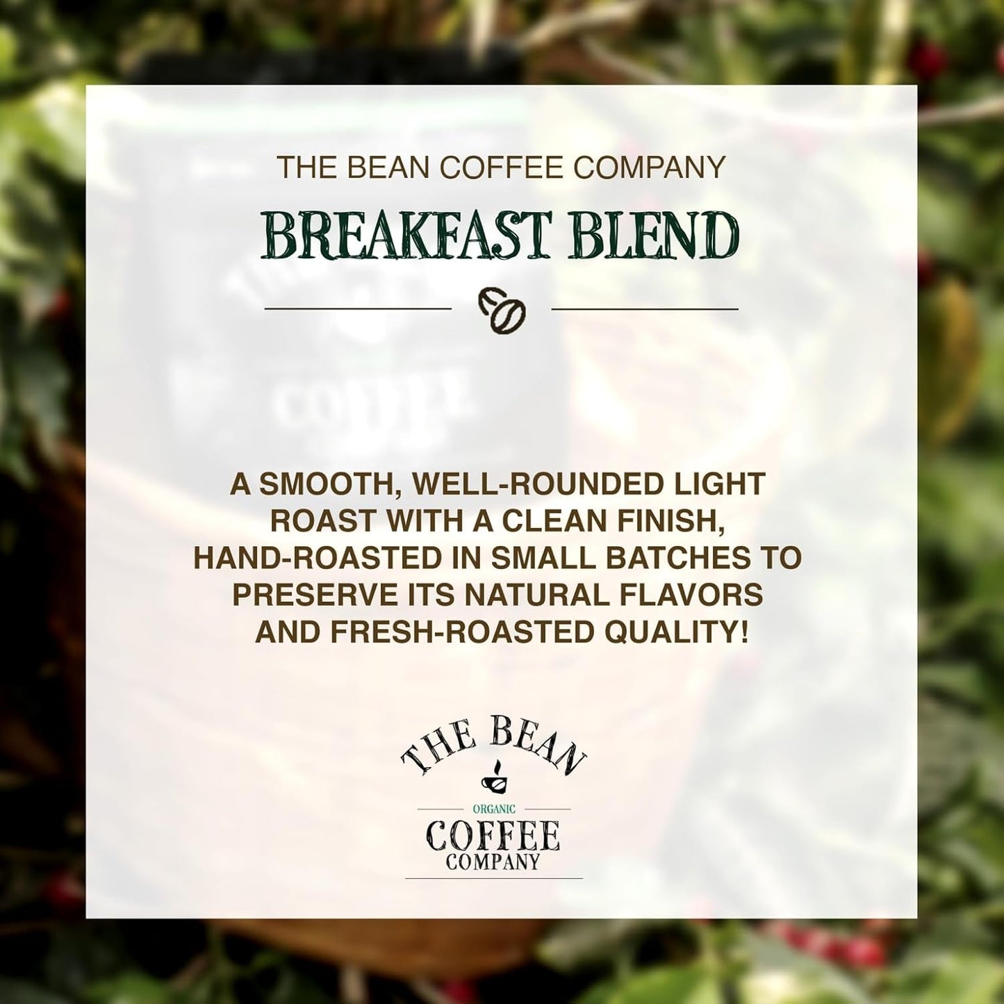 The Bean Organic Coffee Company Breakfast Blend, Medium Dark Roast, Ground Coffee, 16-Ounce Bag,Café molido tostado organico