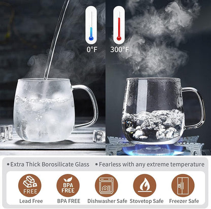 Glass Teacups 2 Pack Glass Tea Cup with Infuser and Lid, 17.6oz/520ml Large Borosilicate Teacup,Tea Clear Mug Cup for Loose Leaf Blooming Tea, Microwave & Dishwasher Safe