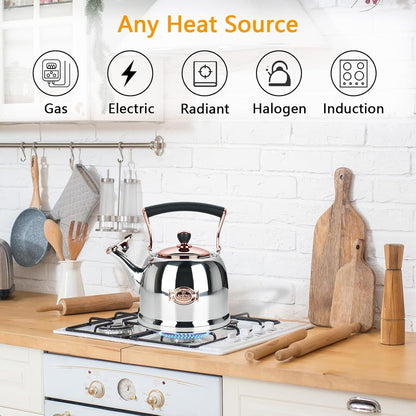 Tea Kettle Stainless Steel Teapot, Stainless Steel Teakettle for Stove Top with Heat Proof Ergonomic Handle 3.0 Quart