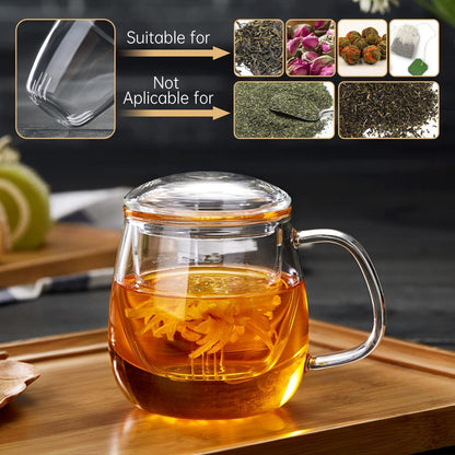 Glass Teacups 2 Pack Glass Tea Cup with Infuser and Lid, 17.6oz/520ml Large Borosilicate Teacup,Tea Clear Mug Cup for Loose Leaf Blooming Tea, Microwave & Dishwasher Safe