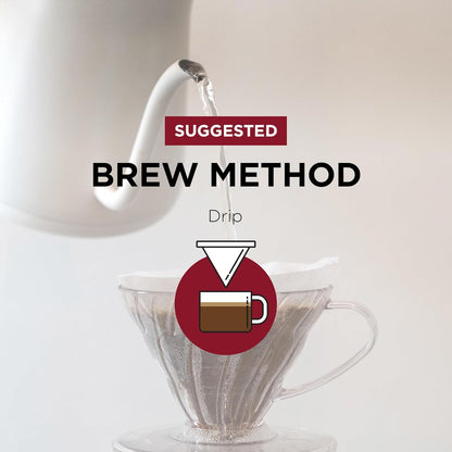 Fonte Coffee Roaster - Drip Coffee - Medium-Dark Fresh Roast - Roasted in Seattle - Single Origin - Bright, Chocolately, Balanced - 12 oz - Fonte AA