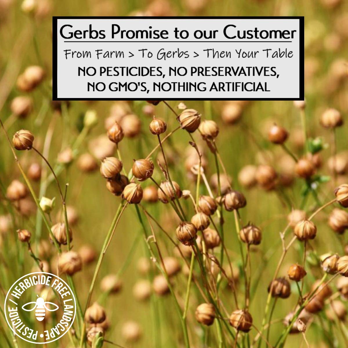 GERBS Ground Flax Seed Meal, 16 Ounce Bag, Top 14 Food Allergy Free, Non GMO, Vegan, Keto, Paleo Friendly