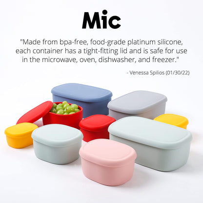 BLUE GINKGO Nesting Silicone Containers - Set of 3 Hard-Shell Silicone Food Storage Containers | BPA Free, Airtight, Dishwasher and Freezer Safe (6.7oz, 10oz, 20oz) - Grey