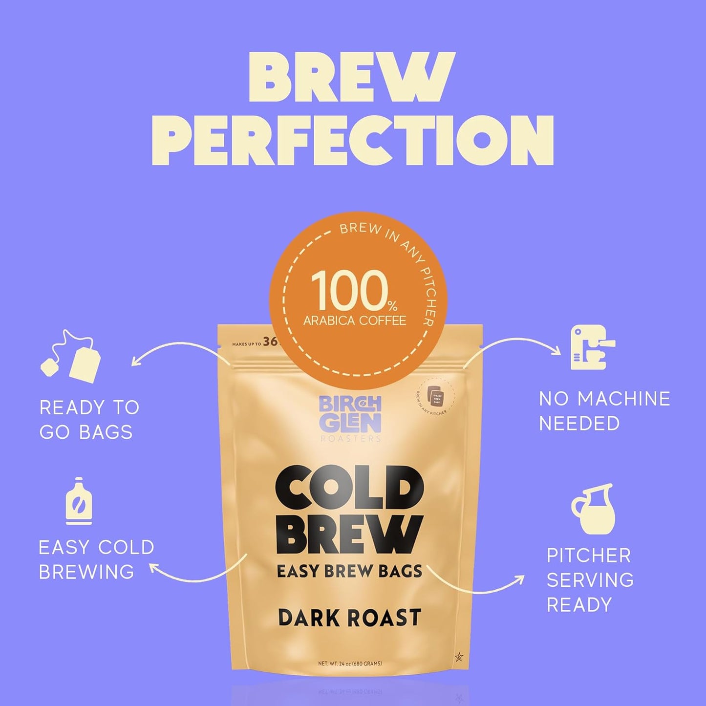 Birch Glen Roasters Cold Brew Coffee Bags - 12 Pack of Coarse Ground Coffee Filter Pitcher Packs for Easy Brewing - 100% Arabica - Yields 6 Pitchers - Pecan Pie Flavor