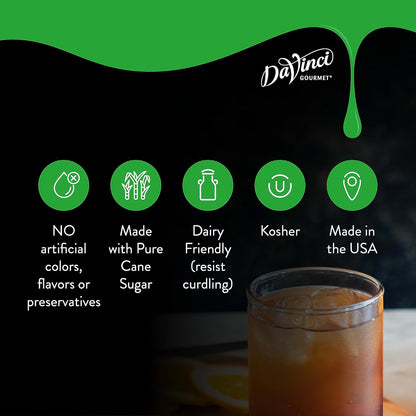 DaVinci Gourmet Spicy Ginger Syrup, 25.4 Fluid Ounces (Pack of 1)