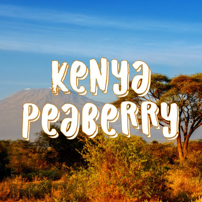 Kenya Peaberry Coffee, Ground, Fresh Roasted, 16-ounce
