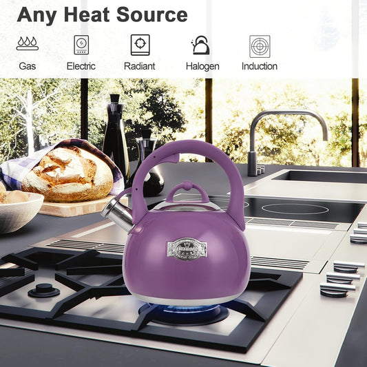 Tea Kettle for Stovetop, Food Grade Stainless Steel Water Kettle, Tea Pot for Home & Kitchen, 3.1 Quart