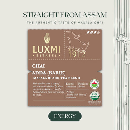Luxmi Estates Chai Adda-Bari 25 Tea Bags (50g) Pack | Masala Chai | Certified Organic Black Tea