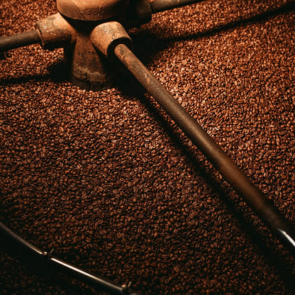 Bristot 100% Arabica Espresso Beans | Italian Espresso Beans | Medium Roast | 1.1lb/500g