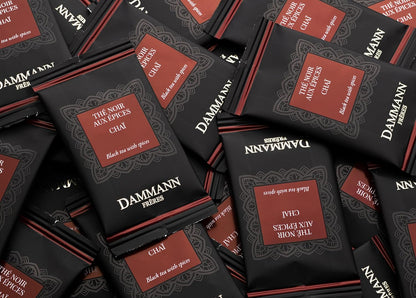 Dammann Freres Satchets, Chai Tea Bags, Premium Gourmet French Black Tea, Blend Ginger, Cinnamon, Cardamom Flavors, Individually Wrapped, 24 Count (Single Pack)