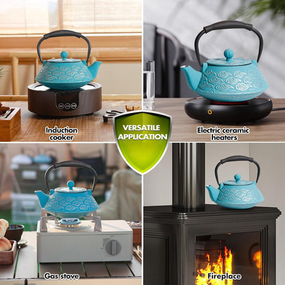 Cast Iron Teapot, Japanese Tea Pot with Infuser for Loose Leaf, Tea Kettle Stovetop Safe Coated with Enameled Interior, Clouds Pattern 27oz, 800ml Sky-Blue