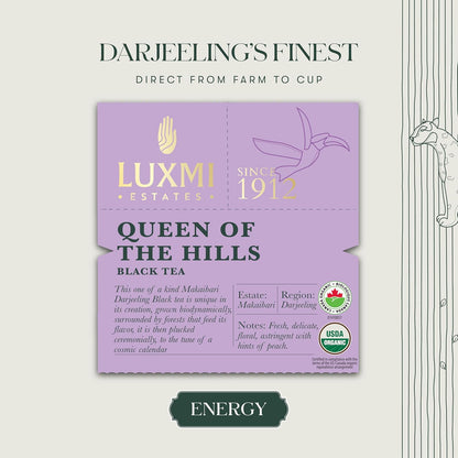 Luxmi Estates Queens Black Tea Blend 50 Tea Bags (100gm) Pack | Organic Black Tea | 50 Cups Bulk Pack