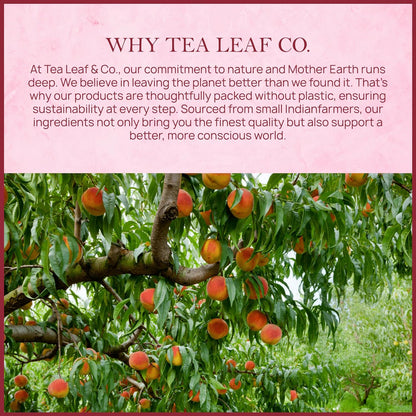 Tealeaf & Co. Peach Ginger Tea Blended with Organic Spices - Organic Black Tea Bags with Ginger & Peach Flavor - Flavored Blend with Low Caffeine - Gluten Free - 50 Teabags